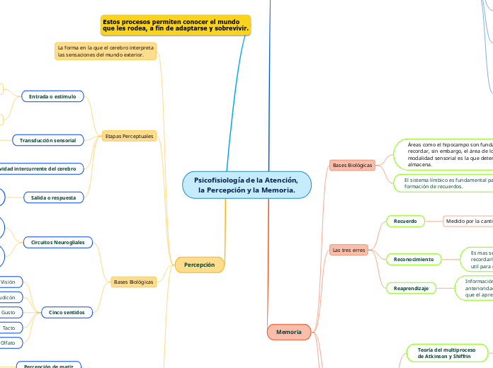 Psicofisiología de la Atención, 
la Percepción y la Memoria.