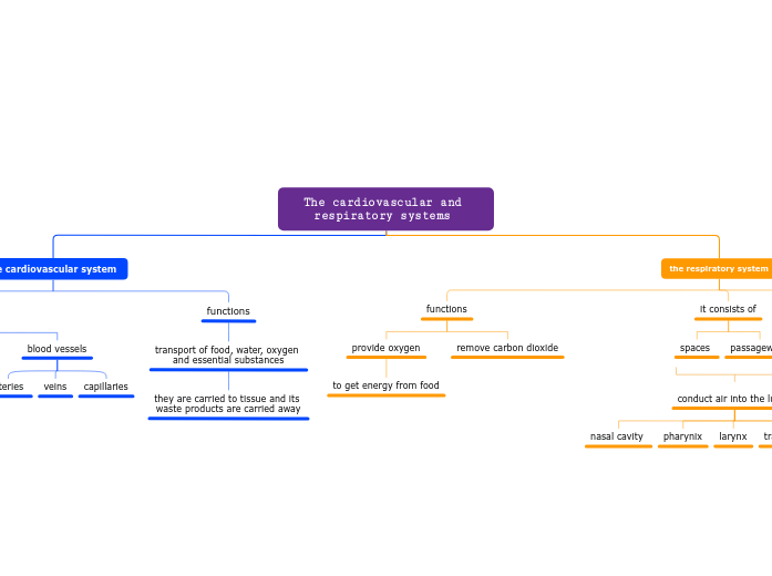 The cardiovascular and respiratory systems 