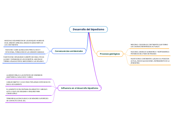 Desarrollo del bipedismo