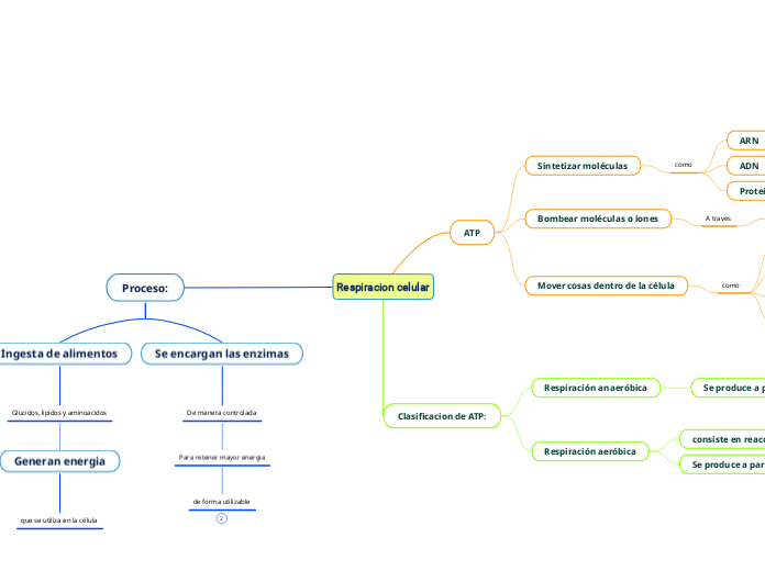 Respiracion celular