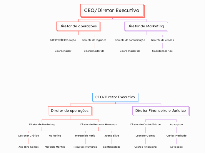 CEO/Diretor Executivo