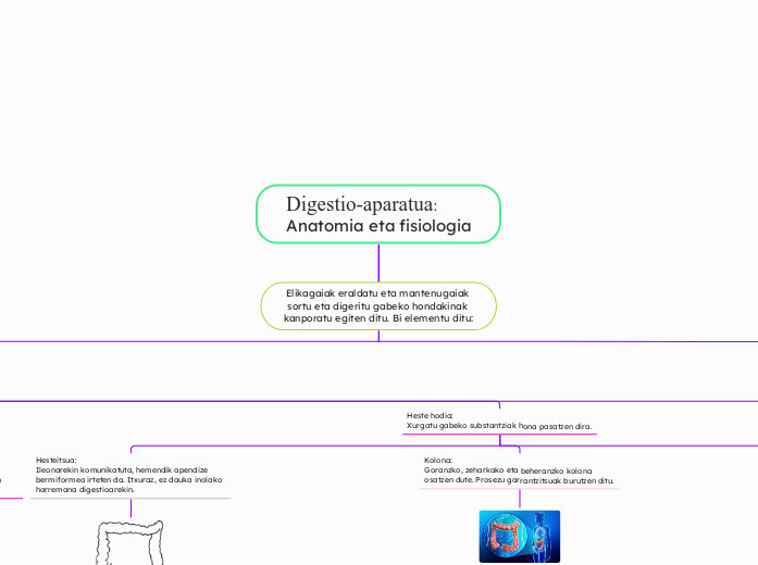 Digestio-aparatua:
Anatomia eta fisiologia