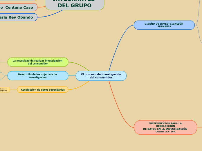 El proceso de investigación
del consumidor