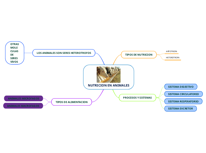 NUTRICION EN ANIMALES