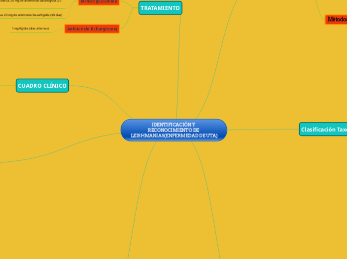 IDENTIFICACIÓN Y RECONOCIMIENTO DE LEISHMANIAS(ENFERMEDAD DE UTA)