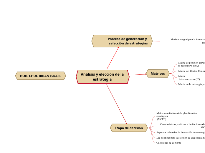 Análisis y elección de la
estrategia