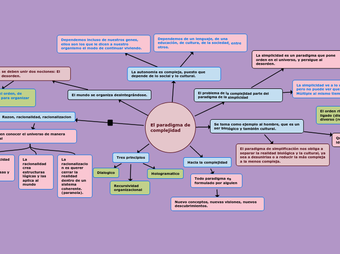 Esquema- paradigma de complejidad