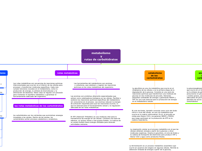         metabolismo
                  y
rutas de carbohidratos
