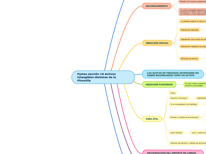 Pymes sección 18 Activos intangibles distintos de la Plusvalía