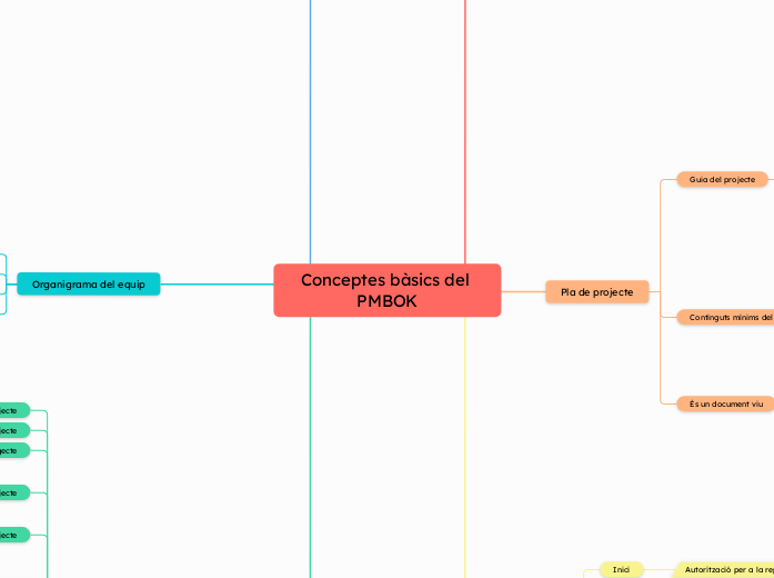 Conceptes bàsics del PMBOK