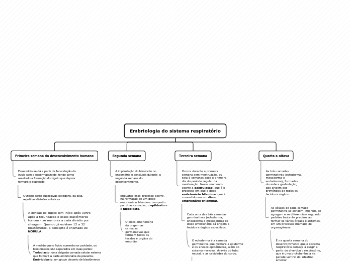 Embriologia do sistema respiratório