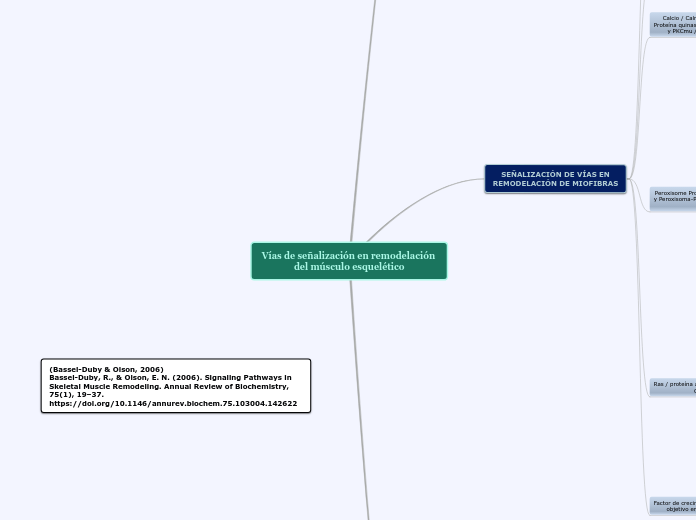 Vías de señalización en remodelación del músculo esquelético
