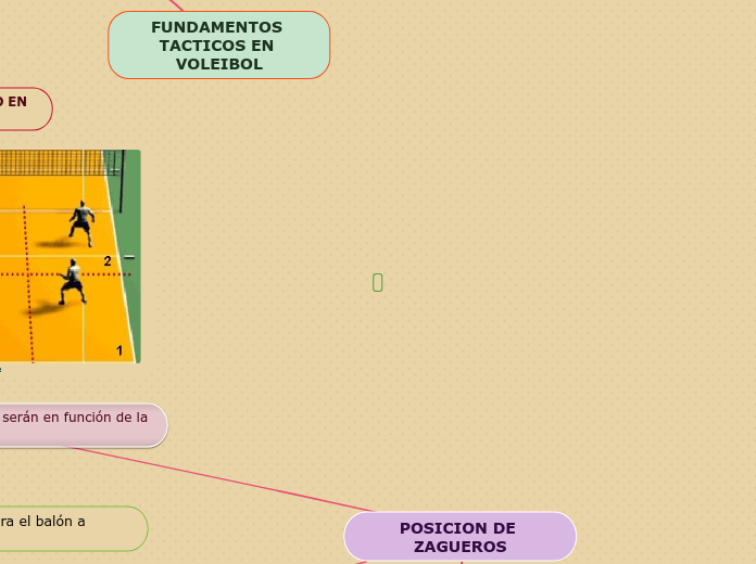 FUNDAMENTOS TACTICOS EN VOLEIBOL