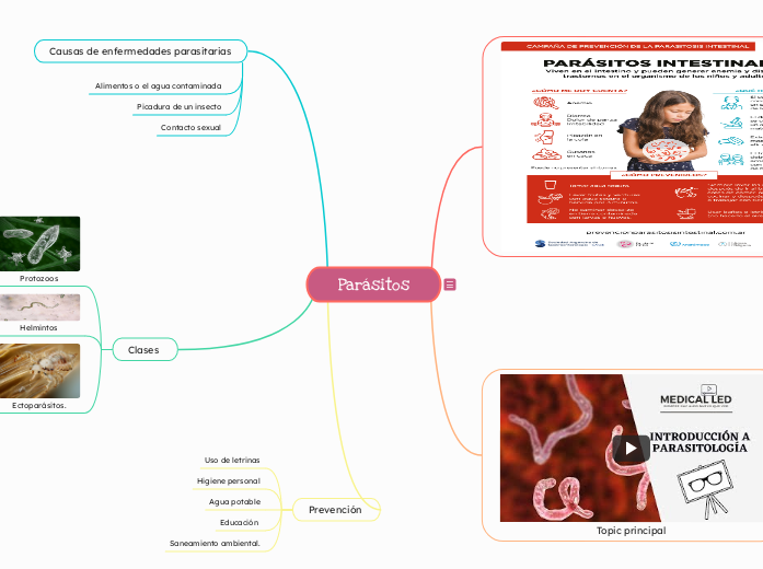Parásitos