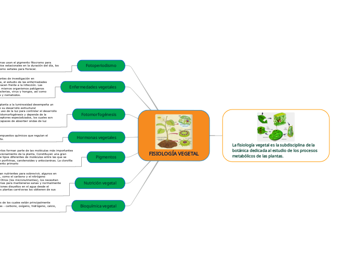 FISIOLOGÍA VEGETAL