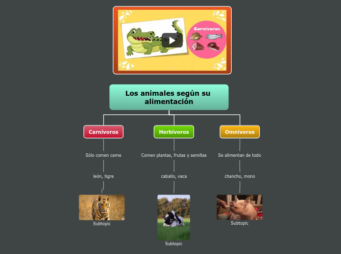 Los animales según su alimentación