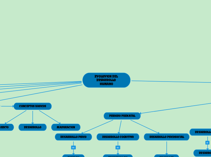 EVOLUVION DEL DESARROLLO HUMANO