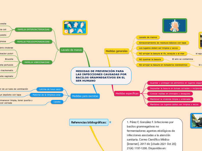 MEDIDAS DE PREVENCIÓN PARA LAS INFECCIONES CAUSADAS POR BACILOS GRAMNEGATIVOS EN EL SER HUMANO