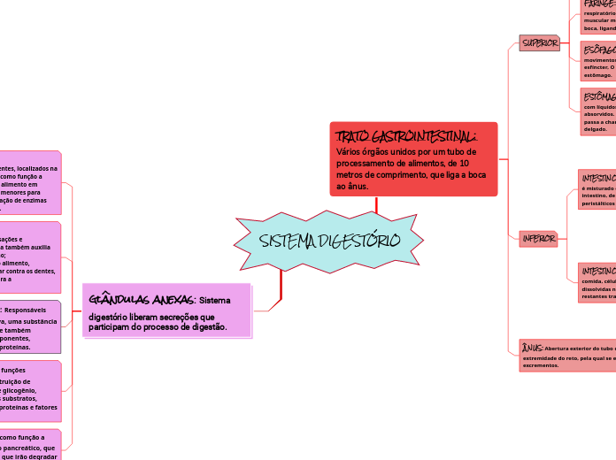 SISTEMA DIGESTÓRIO