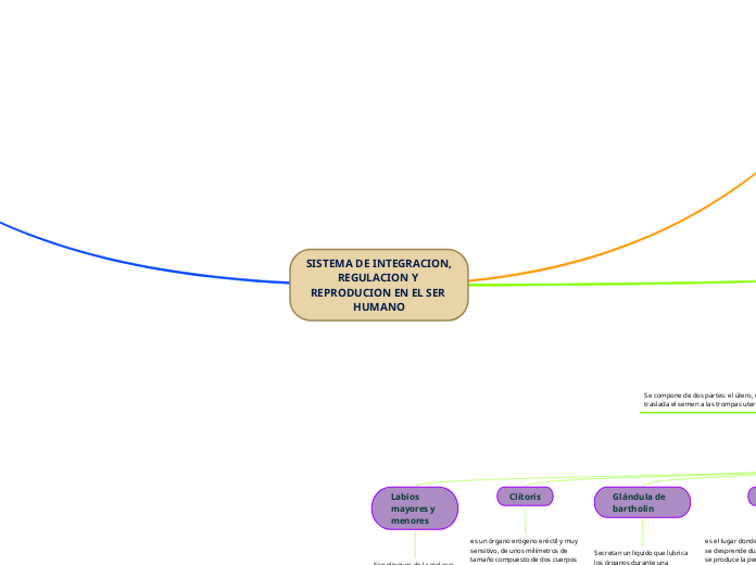 SISTEMA DE INTEGRACION, REGULACION Y REPRODUCION EN EL SER HUMANO