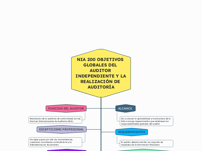 NIA 200 OBJETIVOS GLOBALES DEL AUDITOR INDEPENDIENTE Y LA REALIZACIÓN DE 
AUDITORÍA