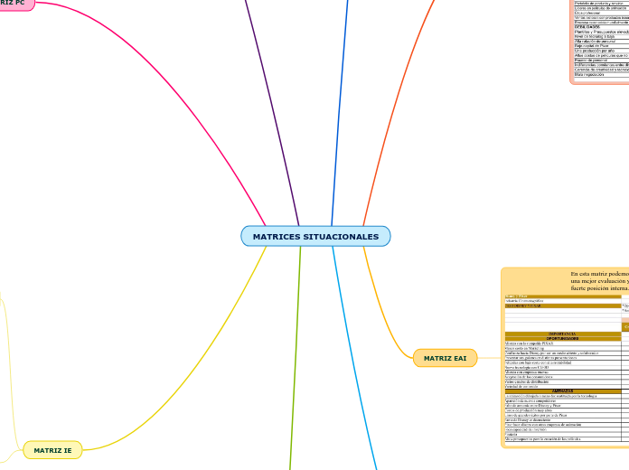 MATRICES SITUACIONALES