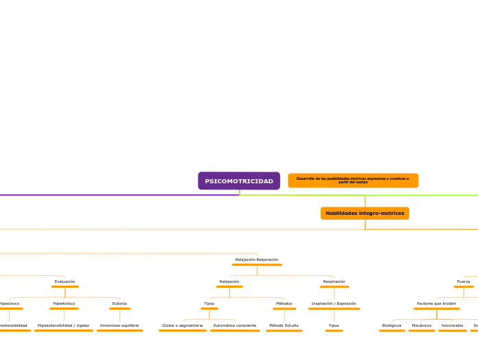 PSICOMOTRICIDAD