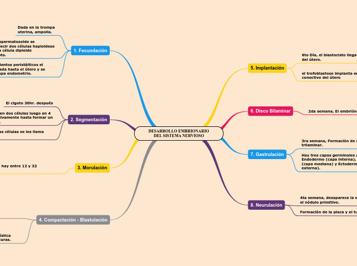 DESARROLLO EMBRIONARIO DEL SISTEMA NERVIOSO