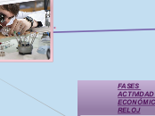 FASES ACTIVIDAD ECONÓMICA