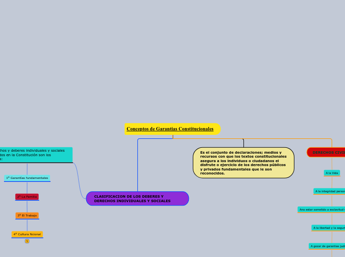 Conceptos de Garantias Constitucionales