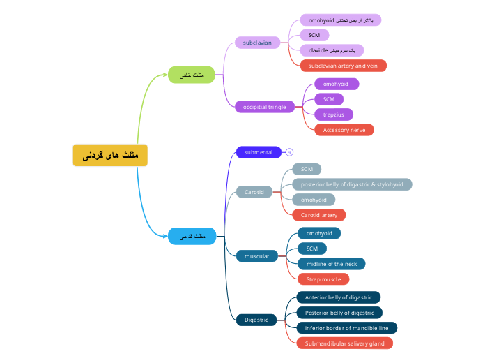 مثلث های گردنی - Copy