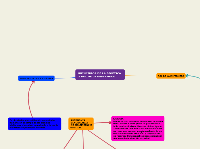 PRINCIPIOS DE LA BIOÉTICA 
Y ROL DE LA ENFERMERA