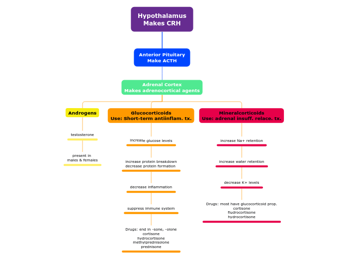 Hypothalamus
Makes CRH