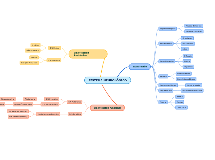 SISTEMA NEUROLÓGICO