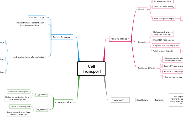 Cell
 Transport