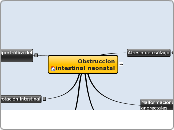 Obstruccion intestinal neonatal ultima