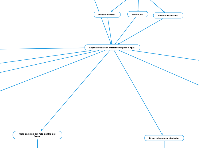 Espina bífida con mielomeningocele Q05 