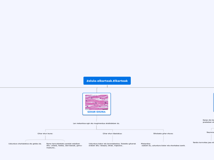 Mindomo ehunak sistemak eta aparatuak