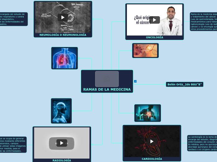 RAMAS DE LA MEDICINA