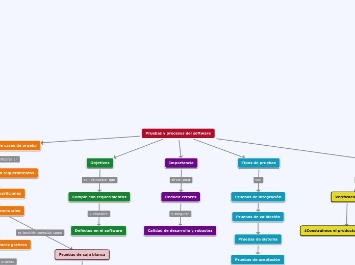 Pruebas y procesos del software