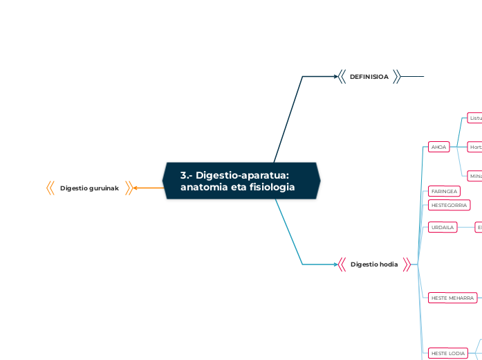 3.- Digestio-aparatua: anatomia eta fisiologia