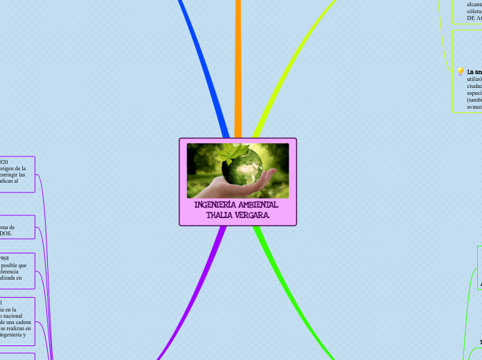 INGENIERÍA AMBIENTAL 
THALIA VERGARA.