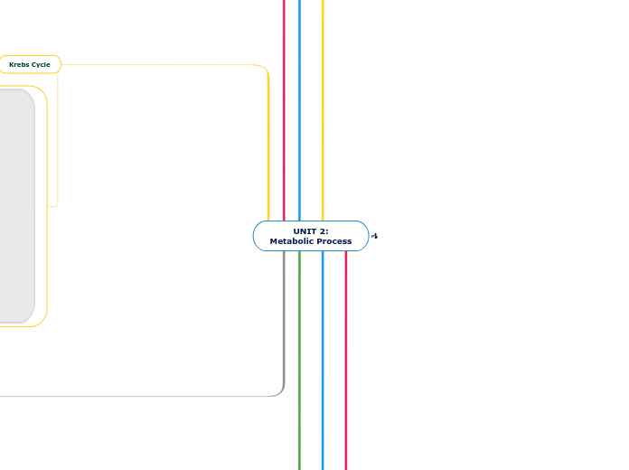 UNIT 2:
Metabolic Process