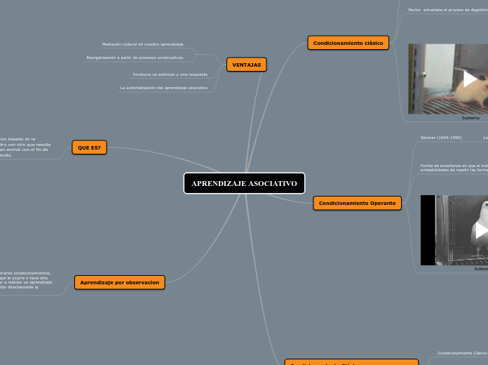 APRENDIZAJE ASOCIATIVO
