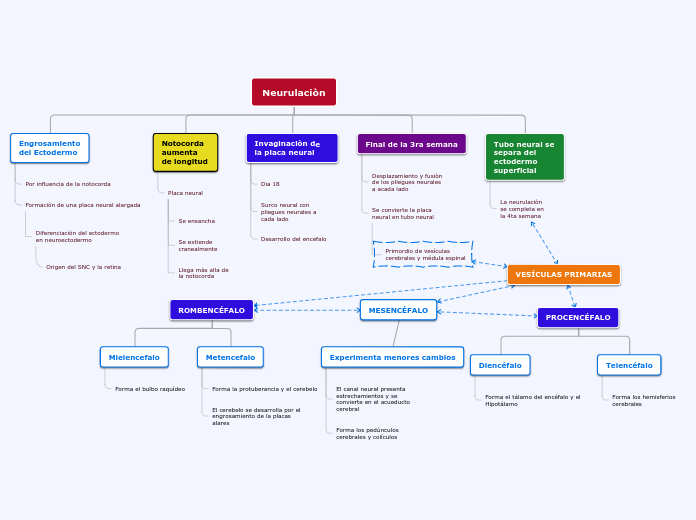 Neurulacion