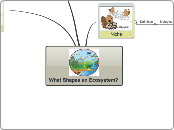 9B What Shapes an Ecosystem?