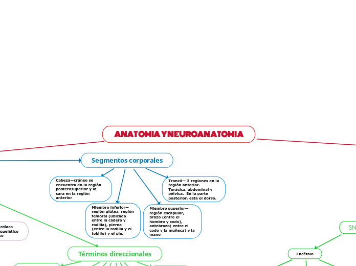 ANATOMIA Y NEUROANATOMIA