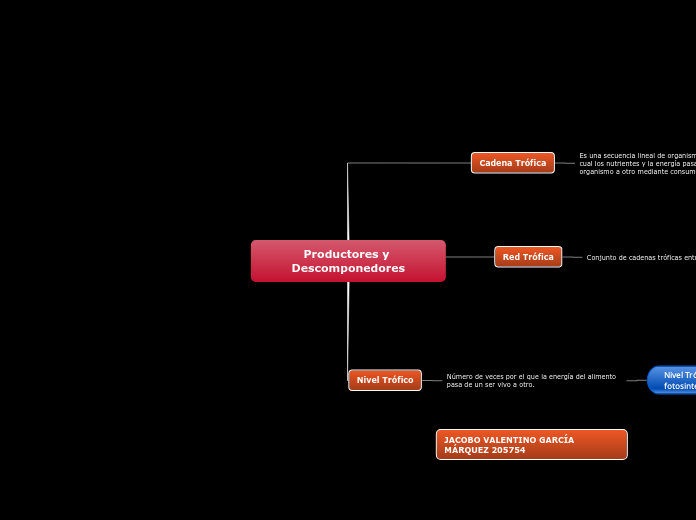 Productores y Descomponedores