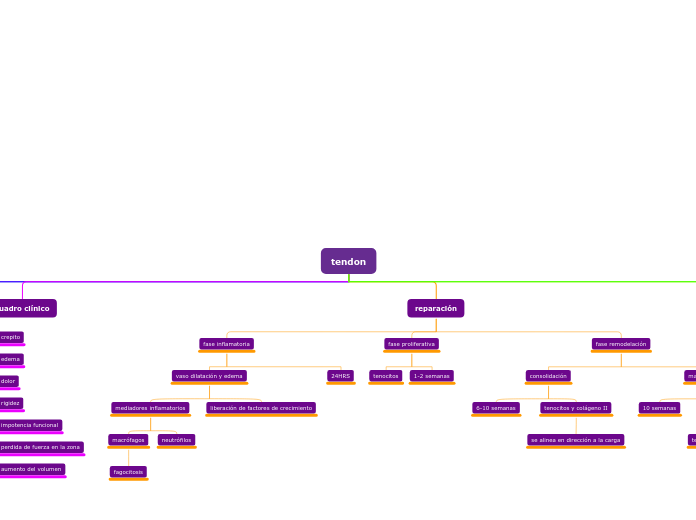 Organigrama arbol