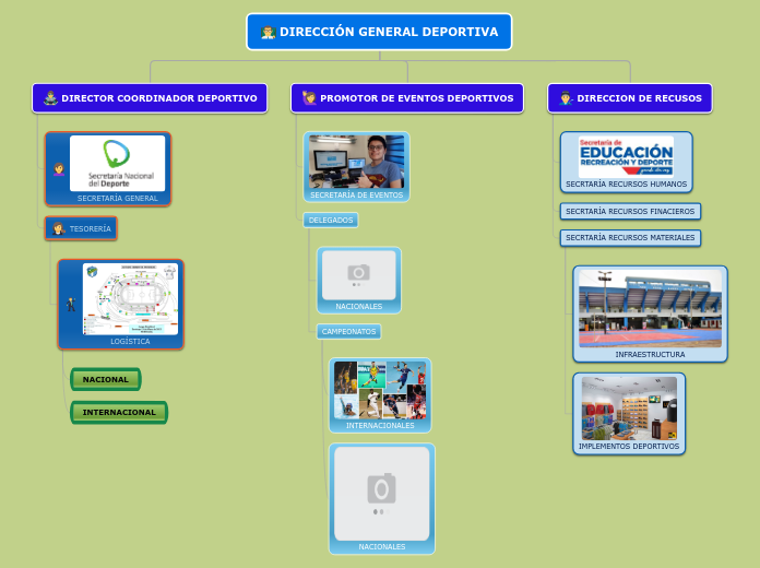 Organigrama DEPORTIVOl